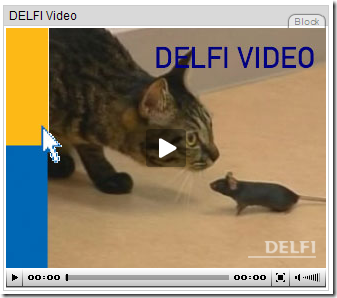 delfi_video