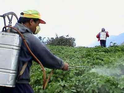 Harmful-Effects-Of-And-Pesticides[1]