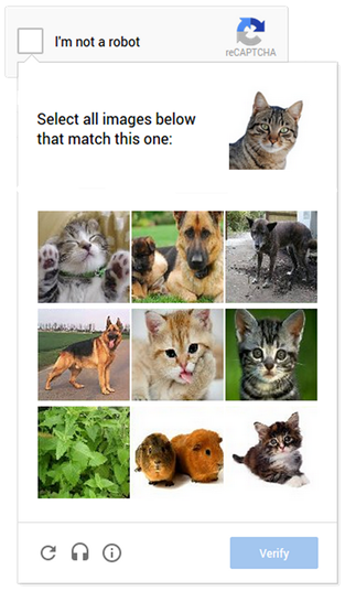 cat_captcha